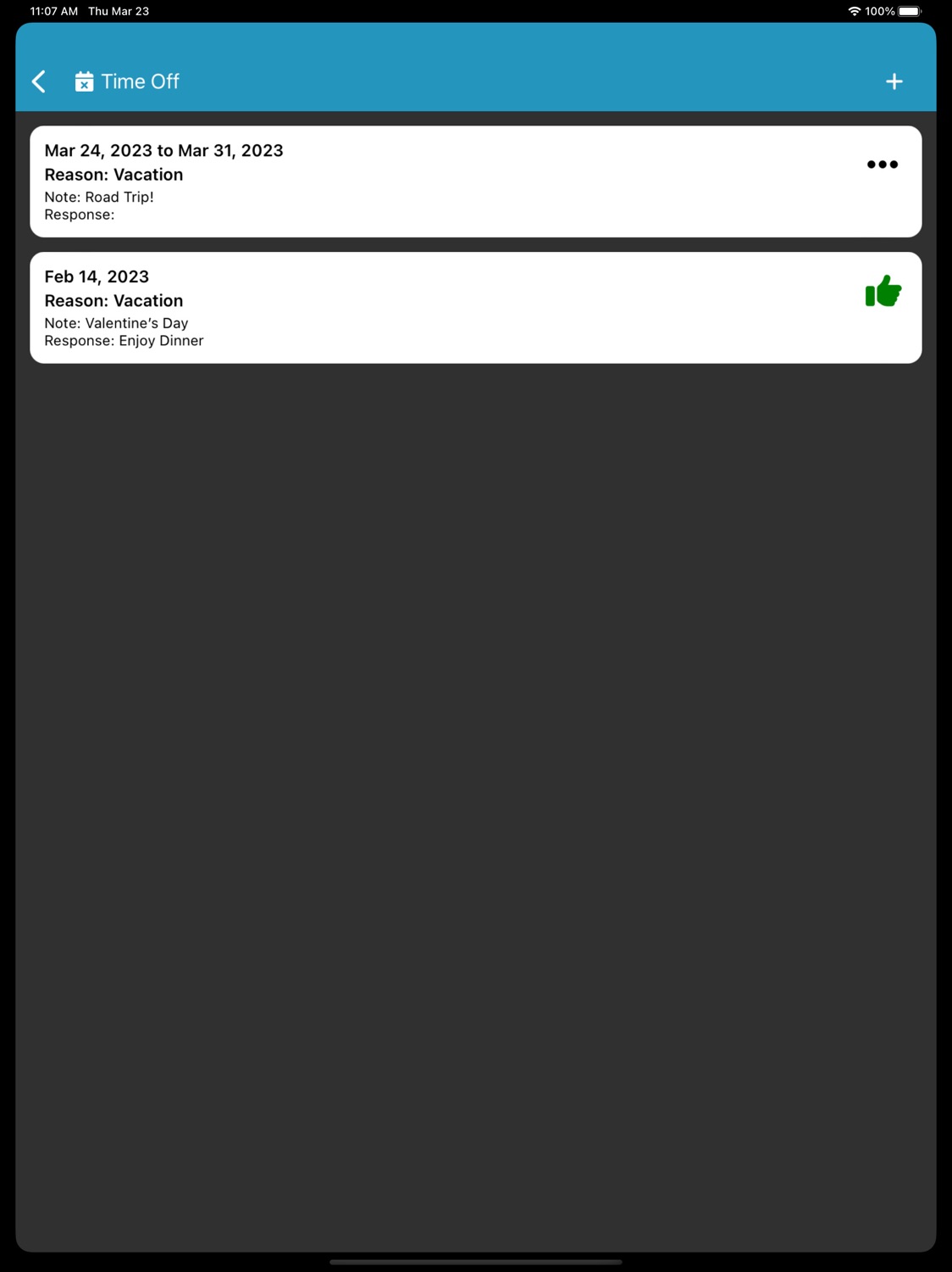 iPad screenshot