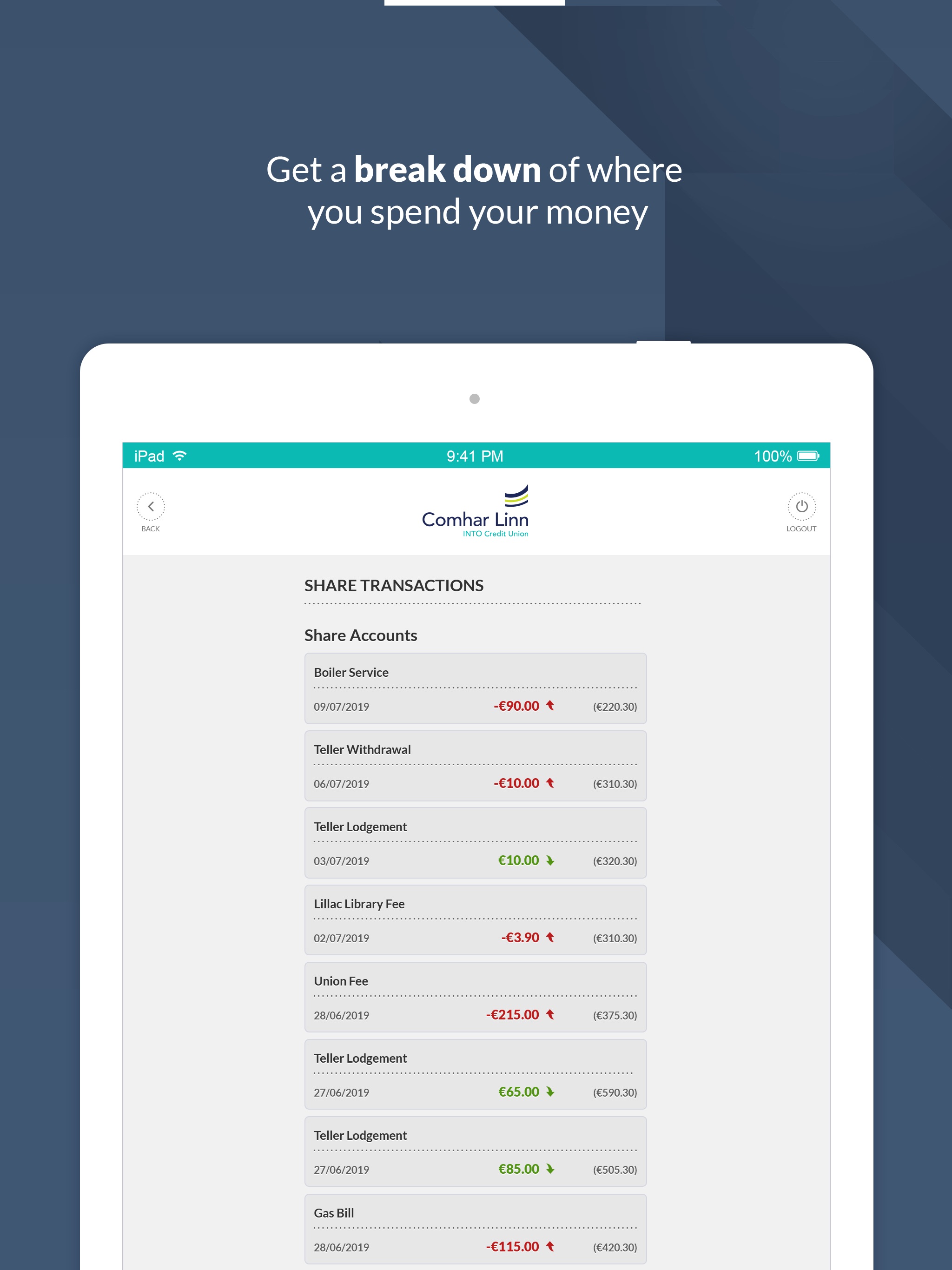 iPad screenshot