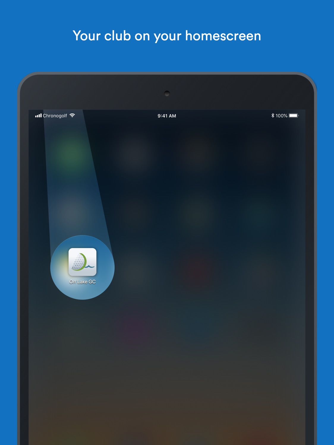 iPad screenshot