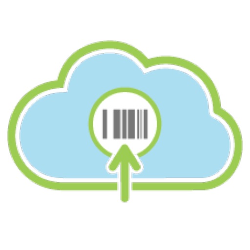 AuditPro icon
