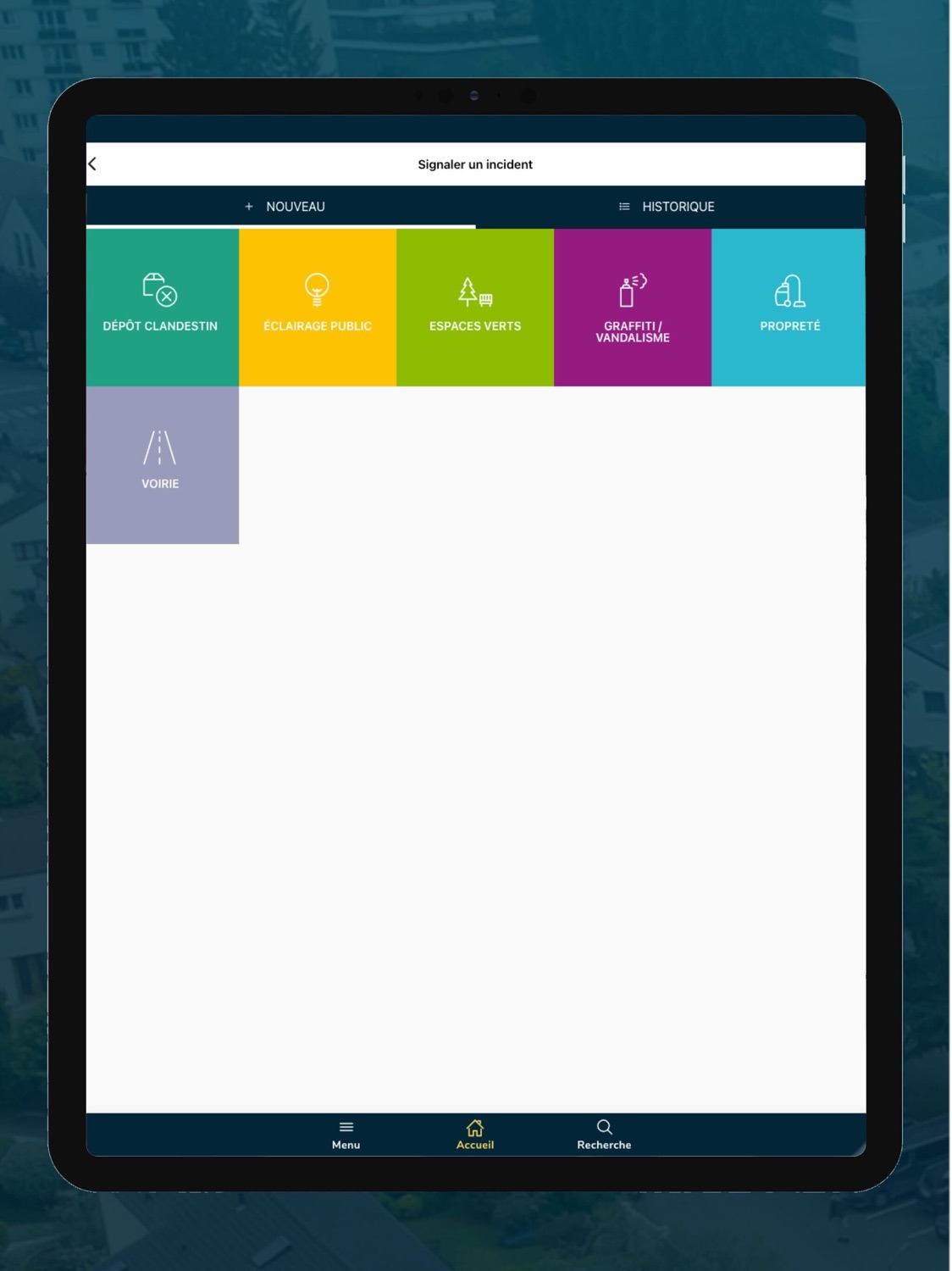 iPad screenshot