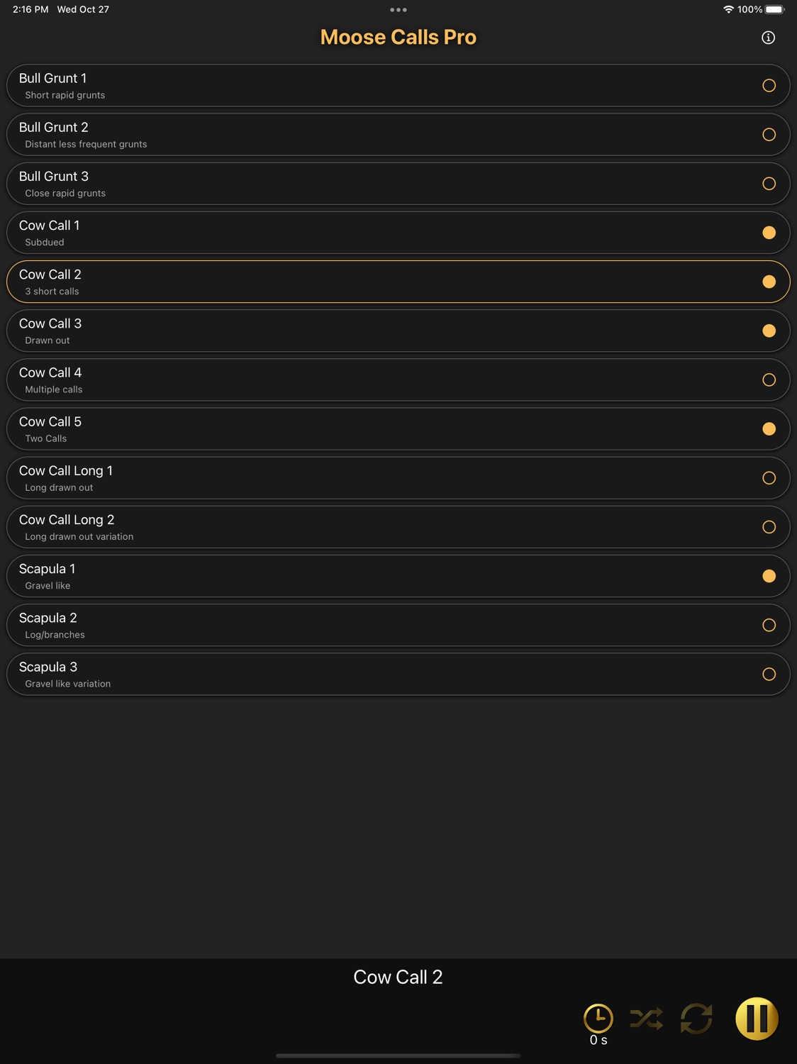 iPad screenshot