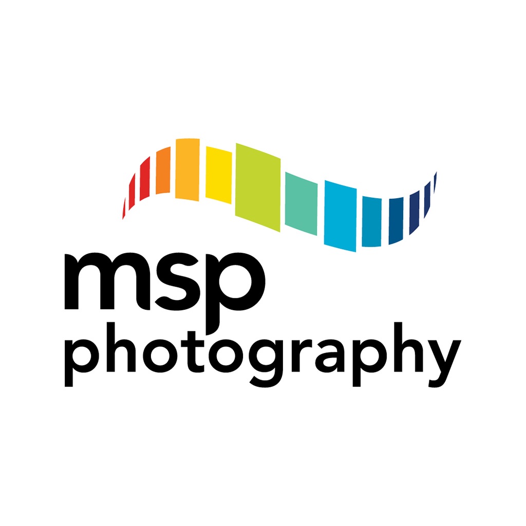 MSP Online icon
