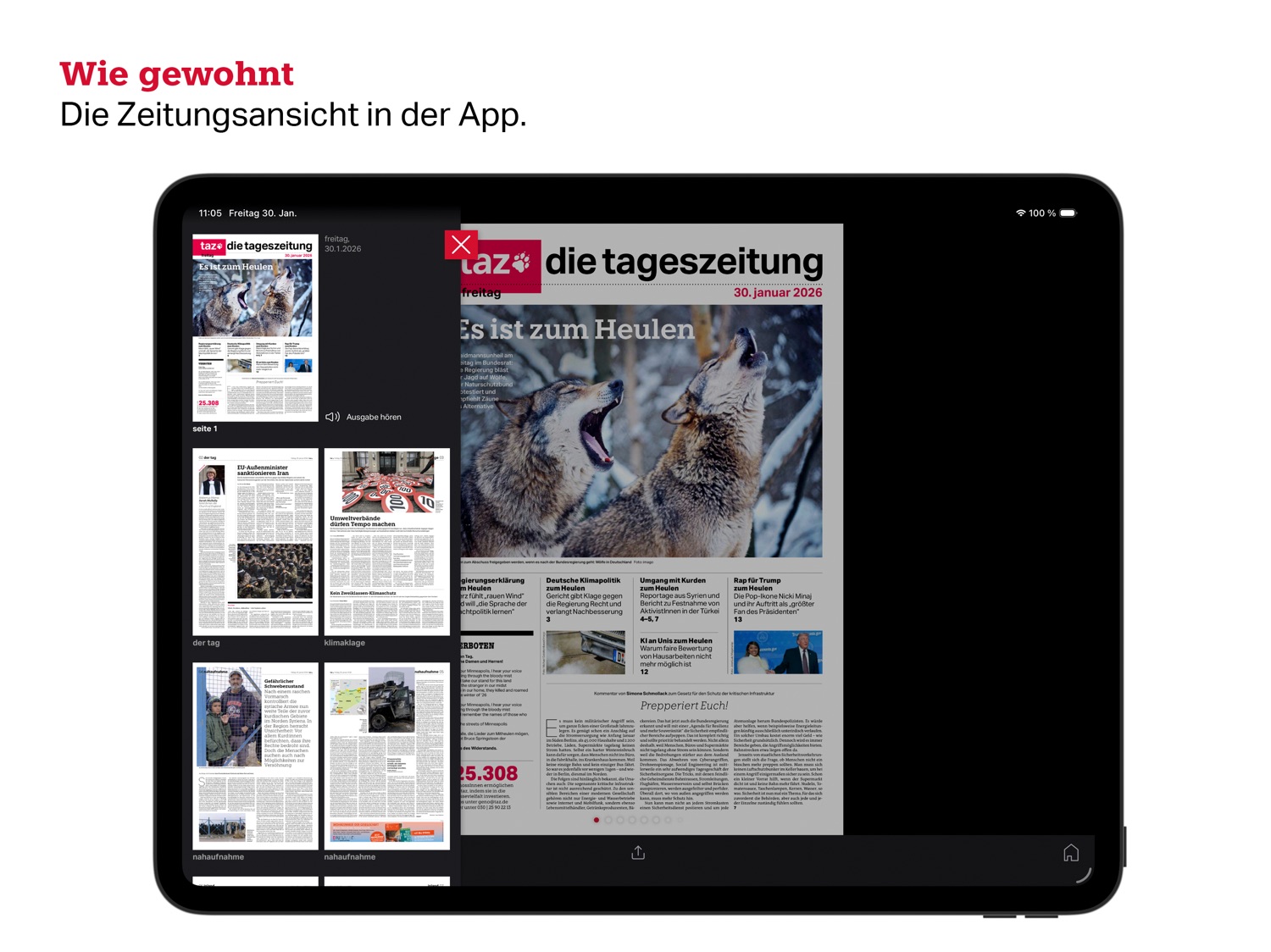 iPad screenshot