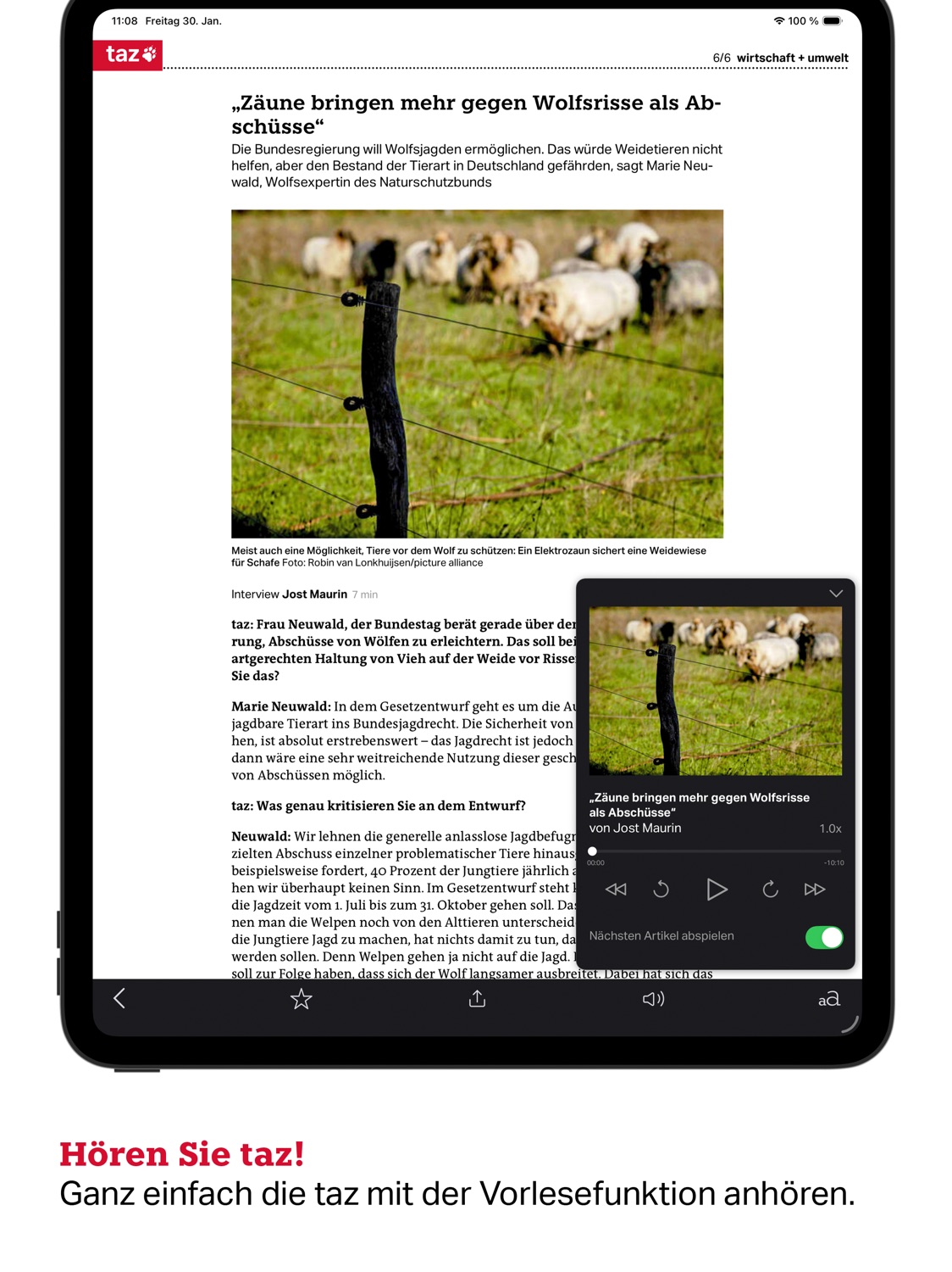 iPad screenshot