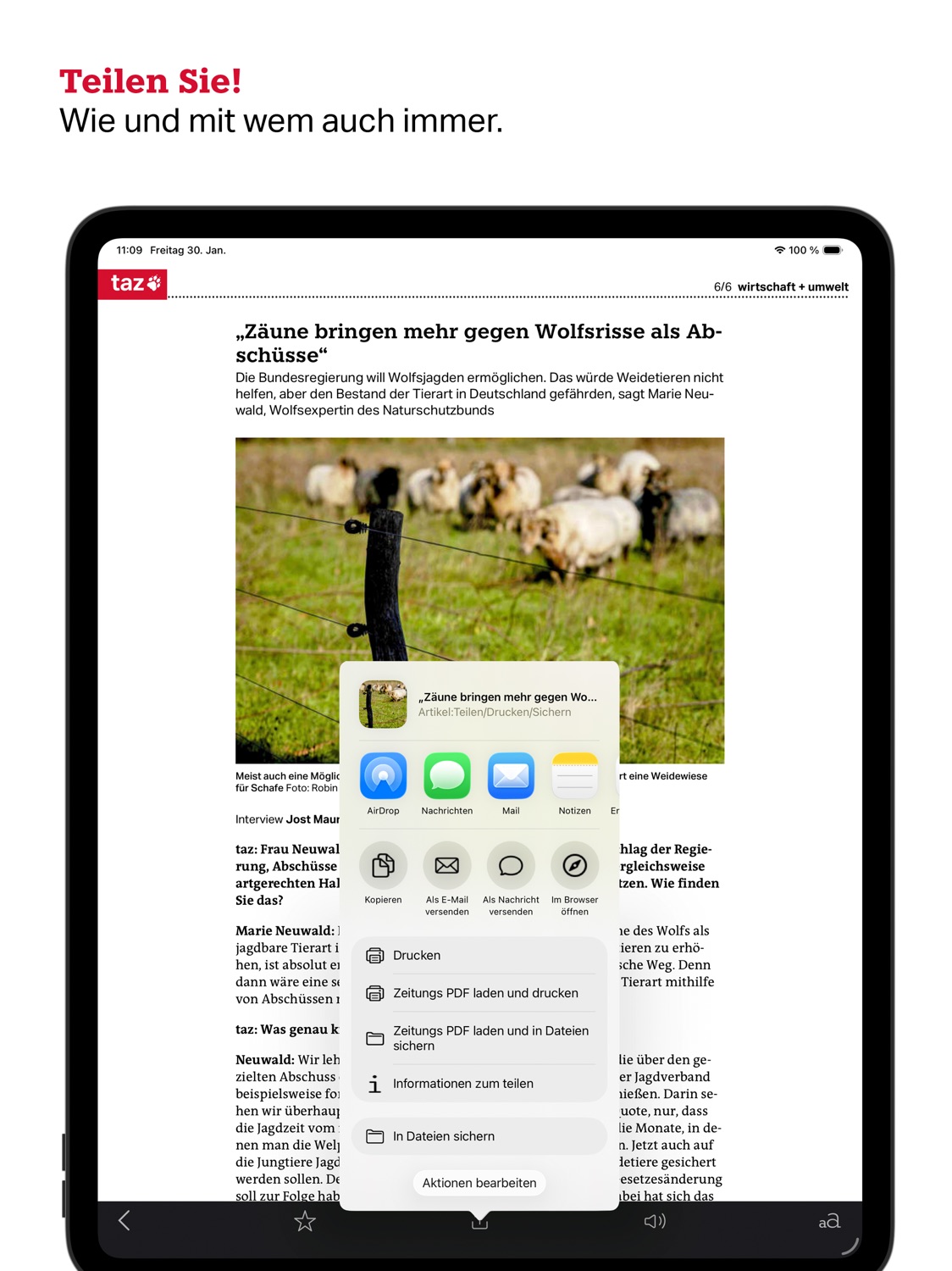 iPad screenshot