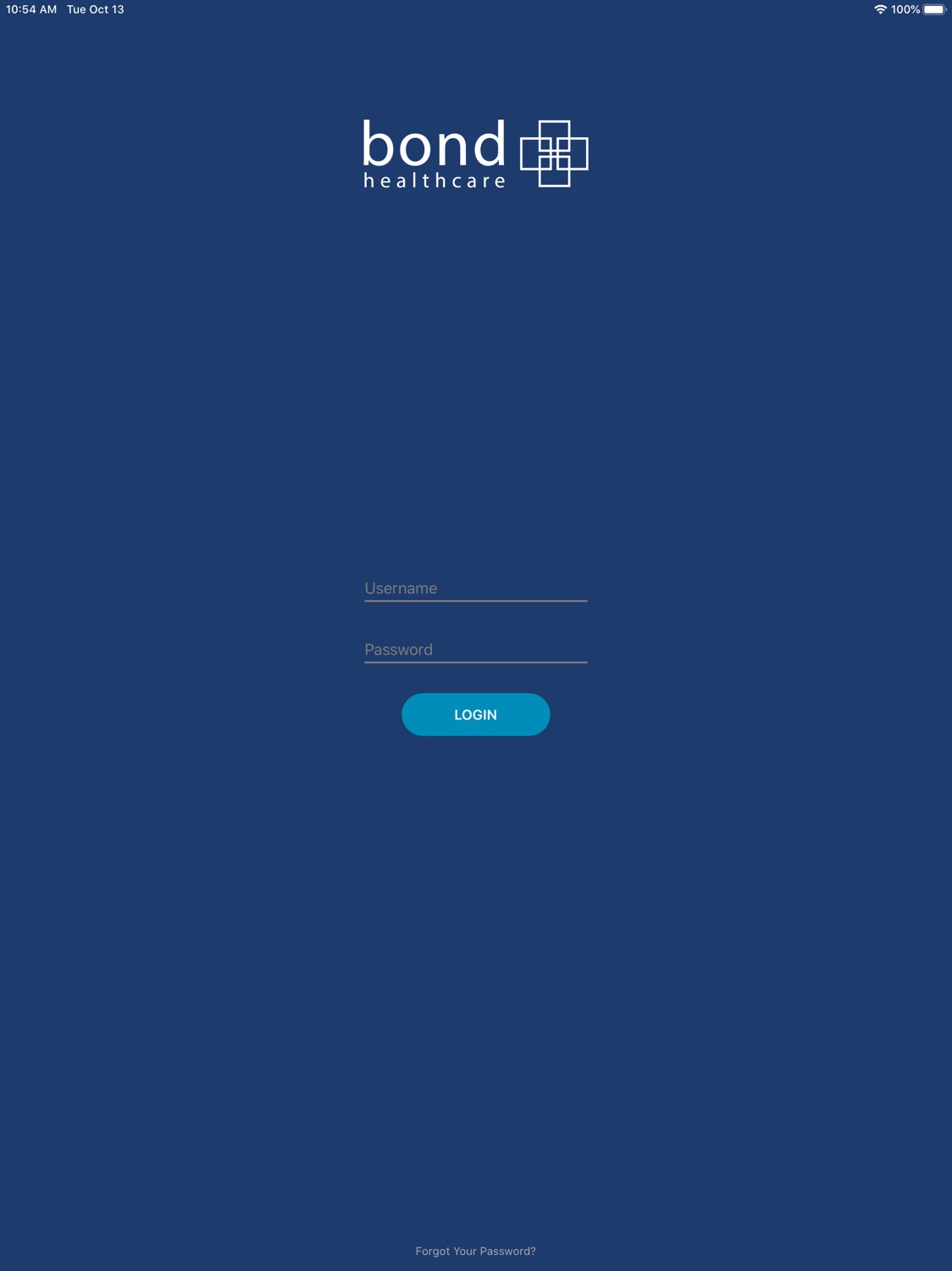 iPad screenshot