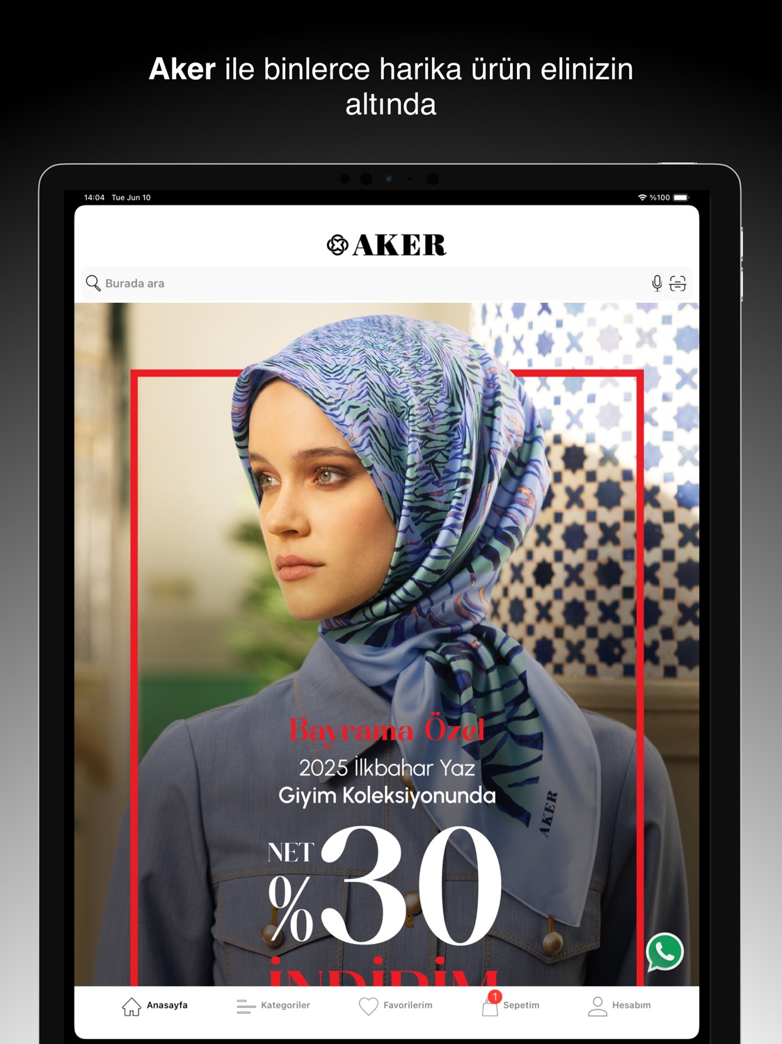 iPad screenshot
