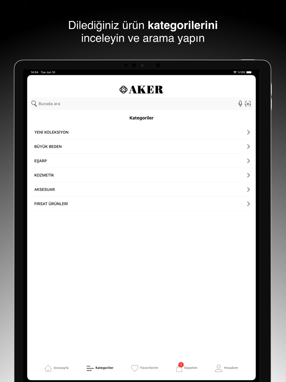 iPad screenshot
