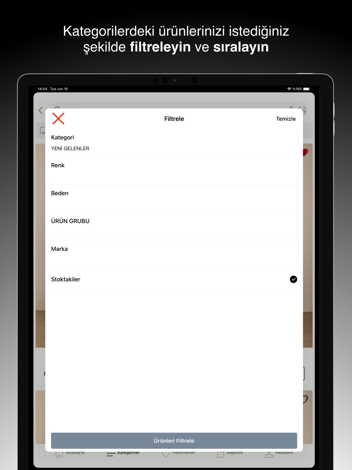 iPad screenshot