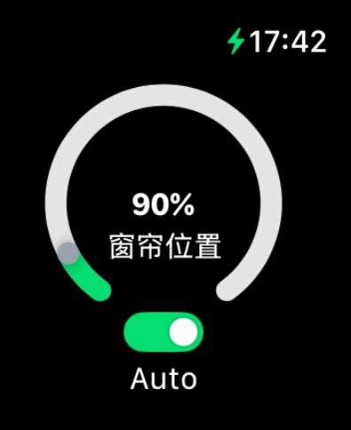 Apple Watch screenshot