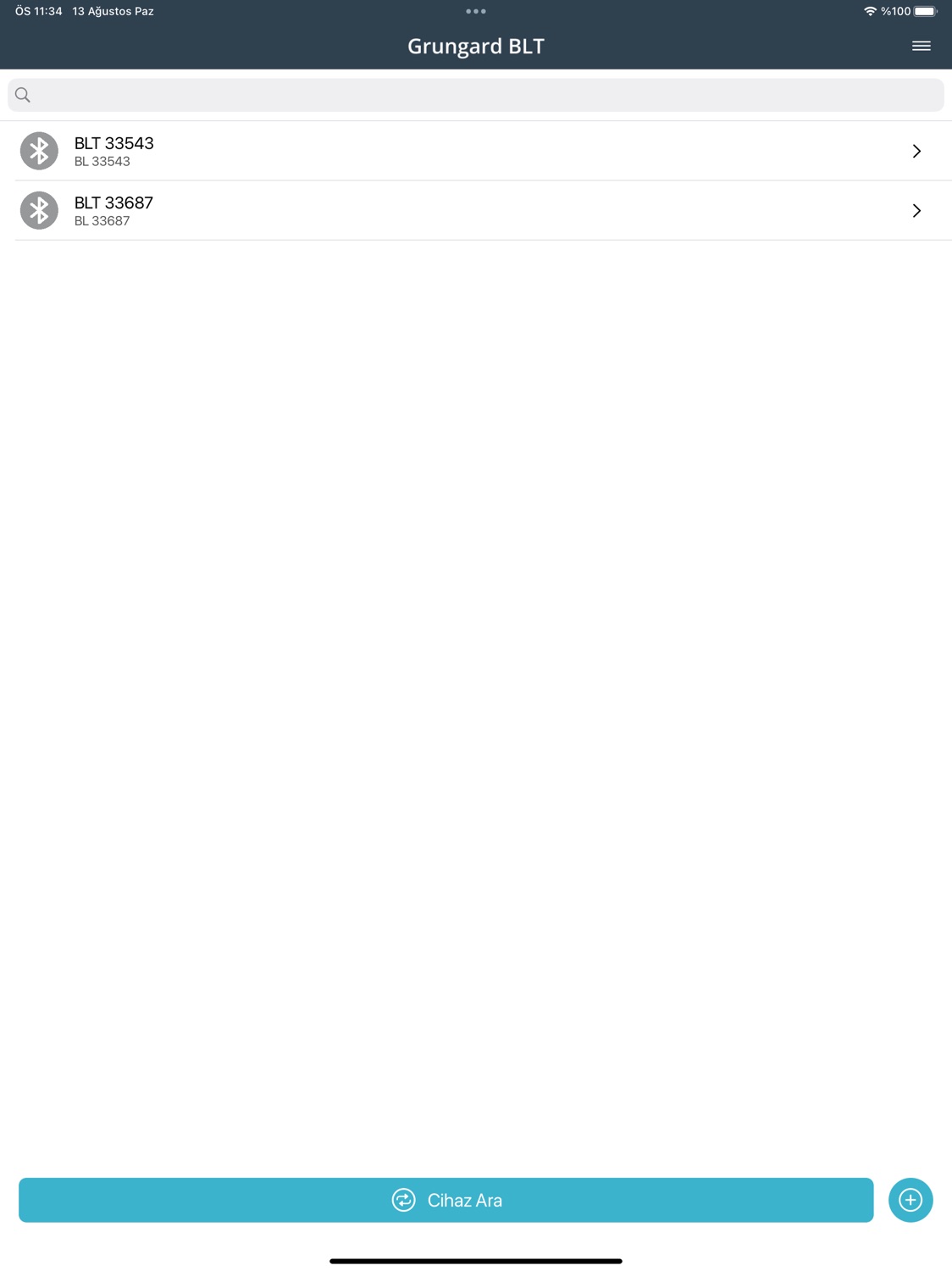 iPad screenshot