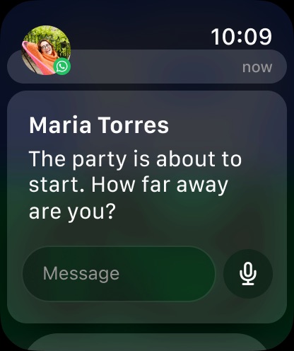 Apple Watch screenshot
