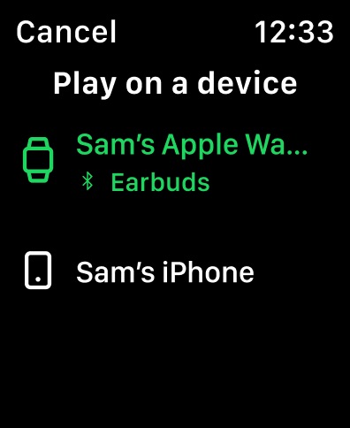 Apple Watch screenshot
