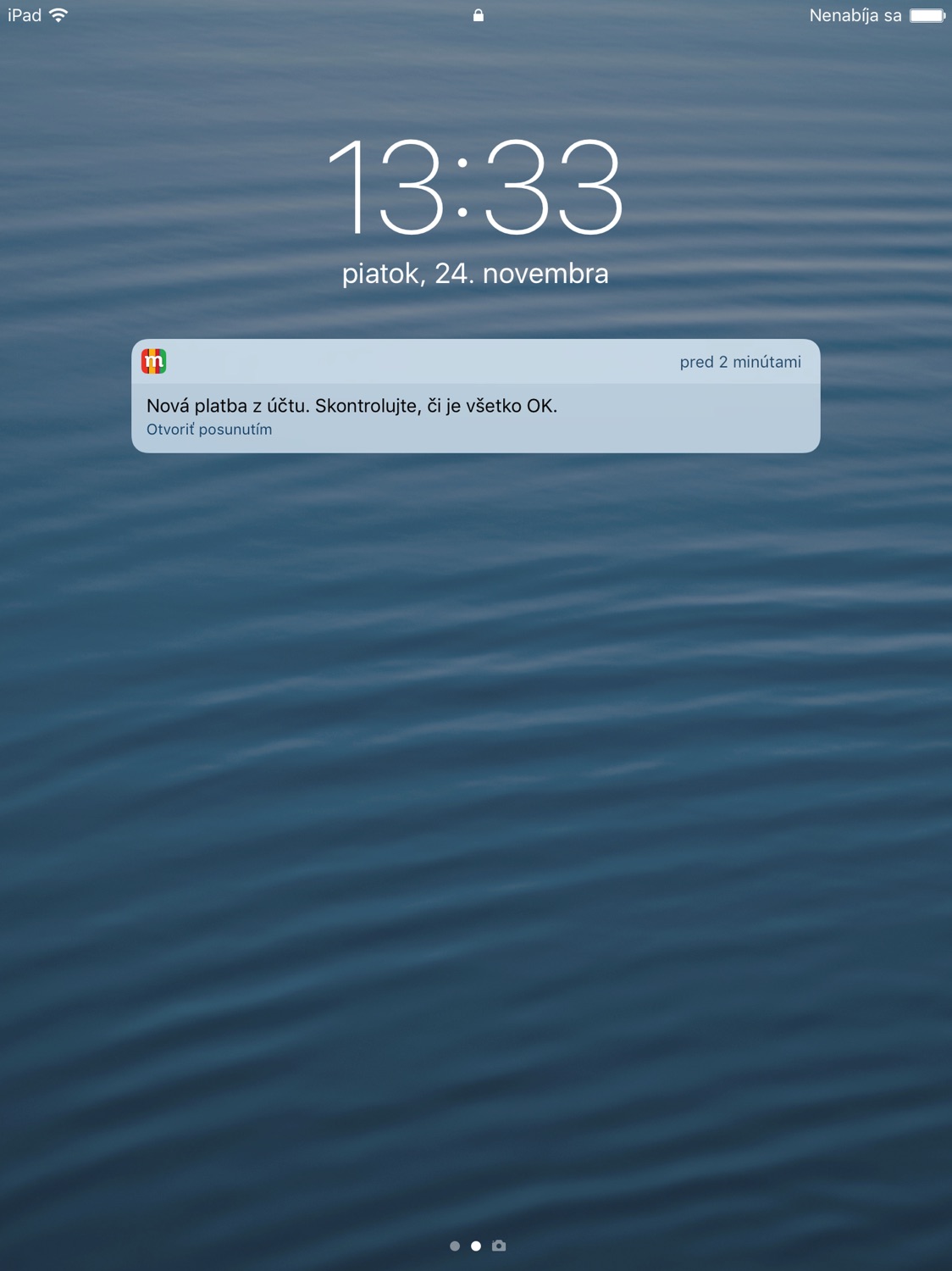 iPad screenshot