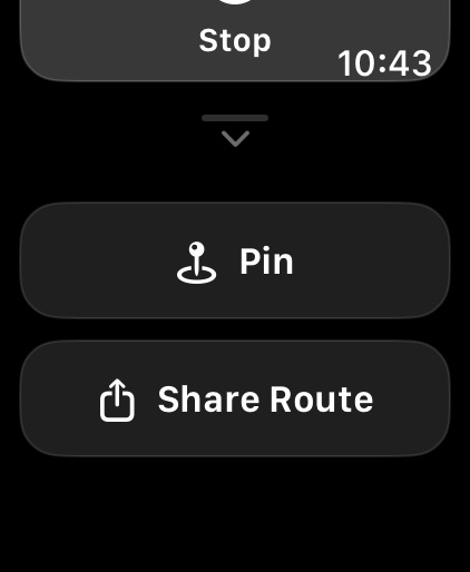 Apple Watch screenshot