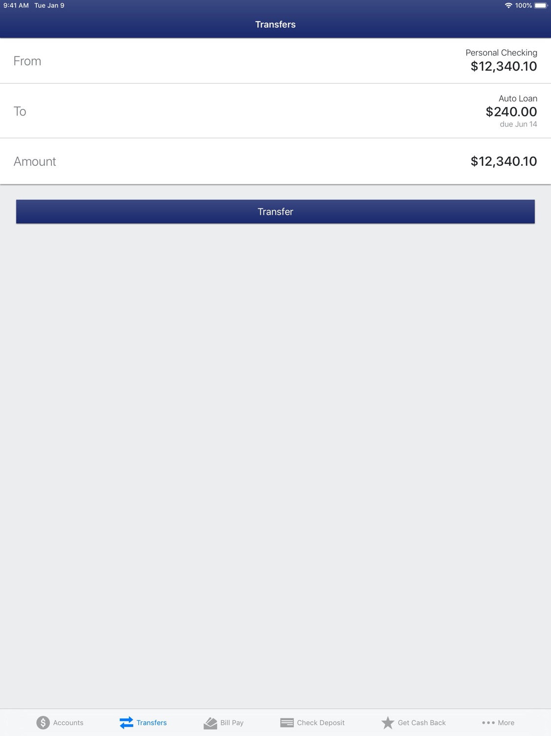 iPad screenshot