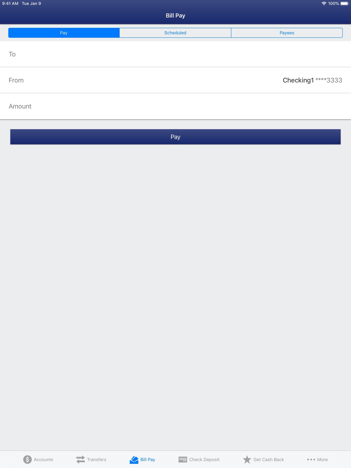 iPad screenshot