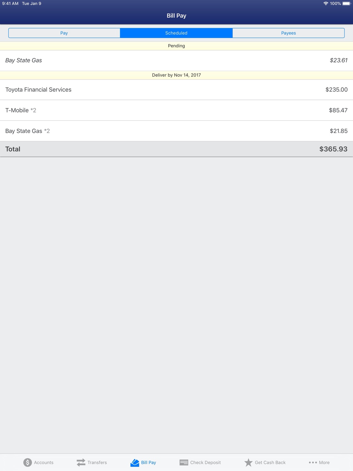 iPad screenshot