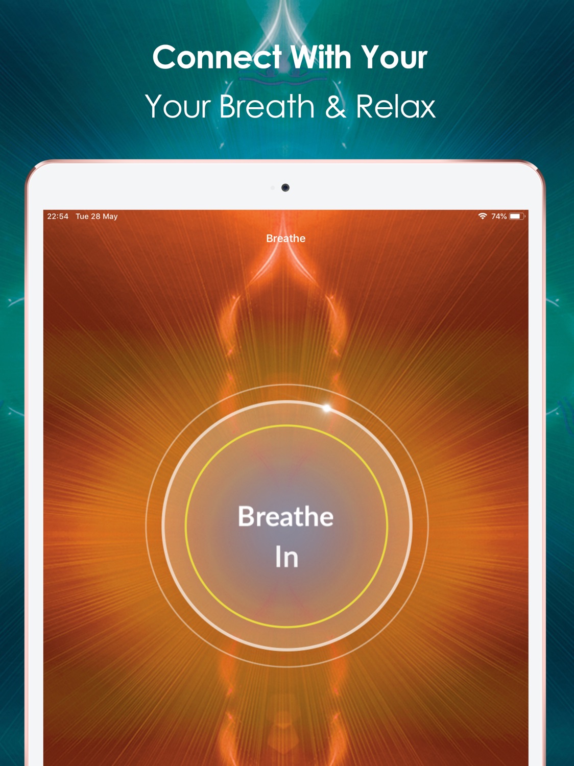 iPad screenshot