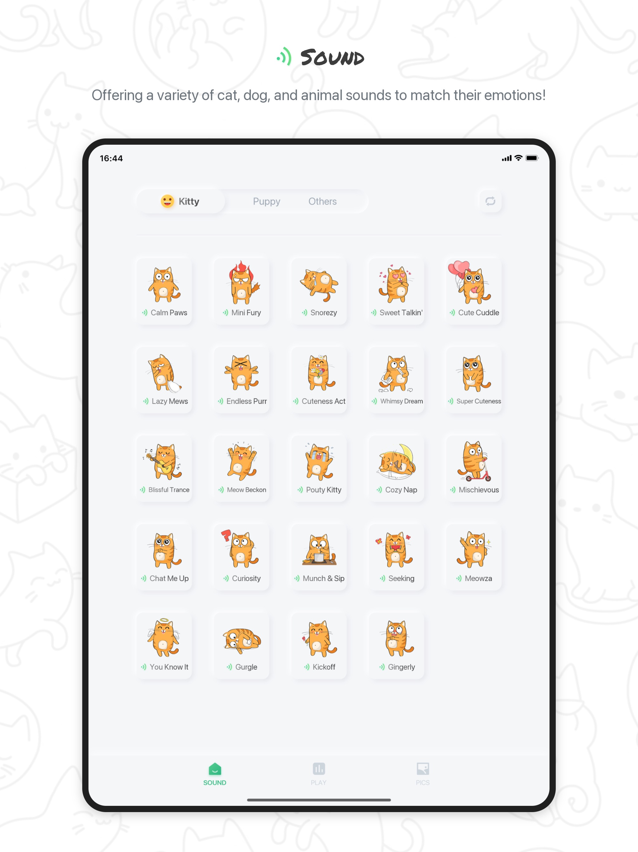 iPad screenshot