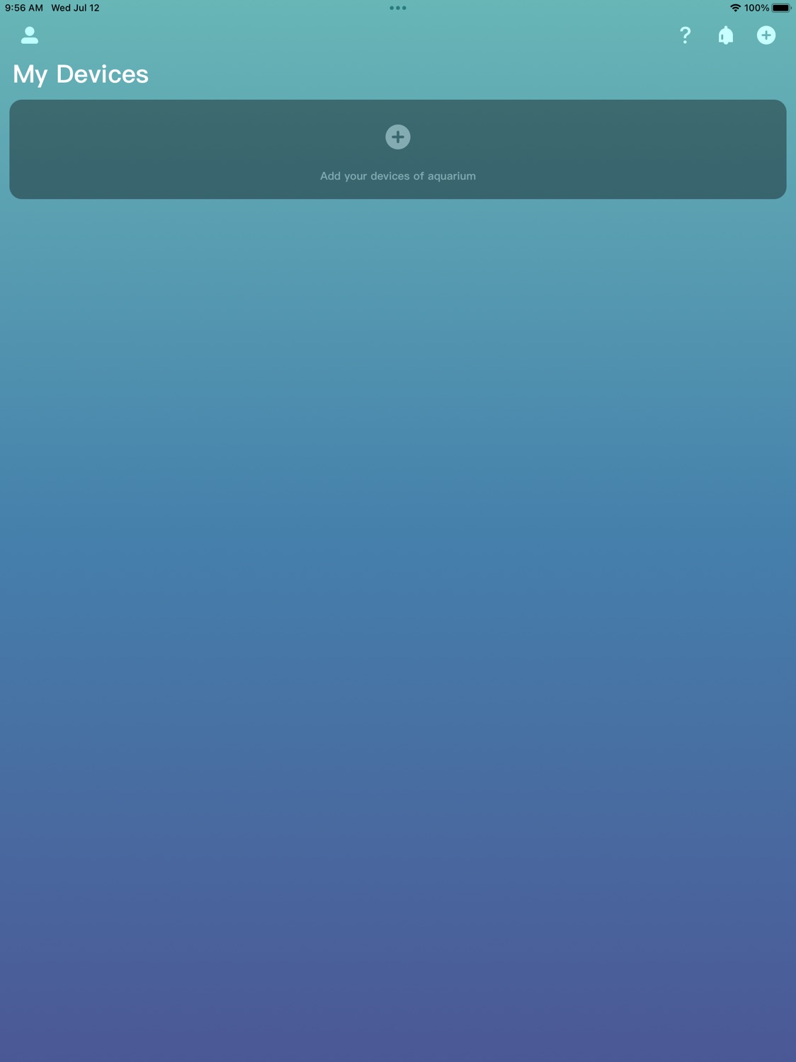 iPad screenshot