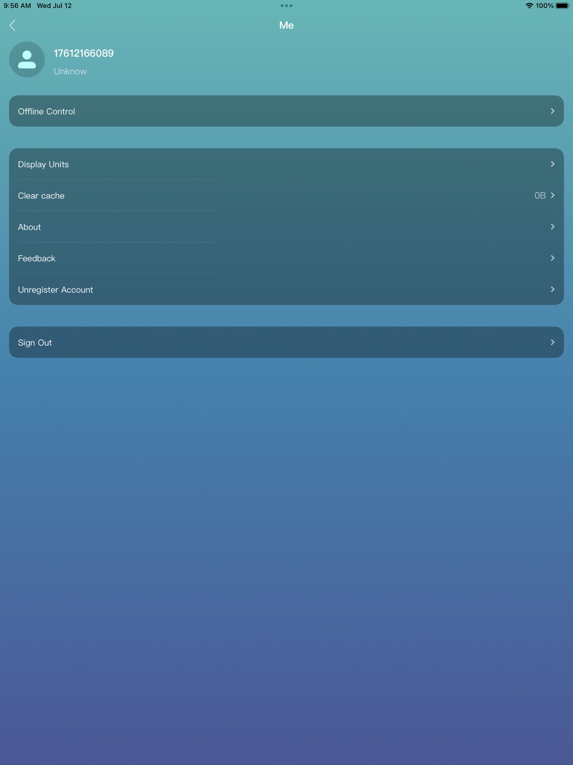 iPad screenshot