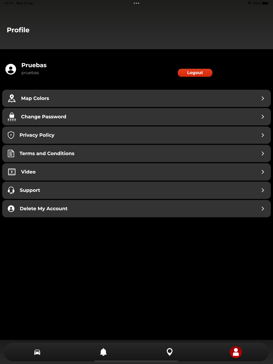 iPad screenshot
