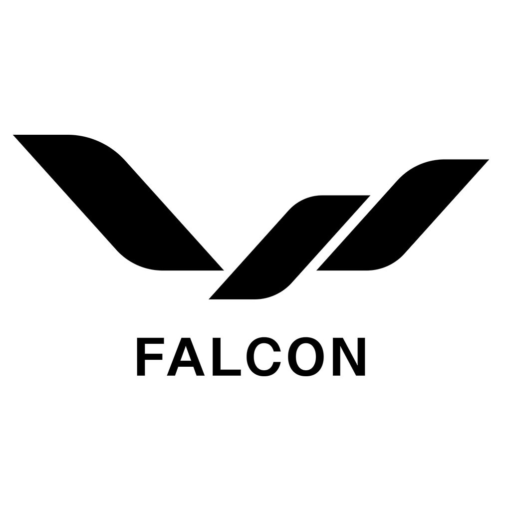 Falcon camera icon