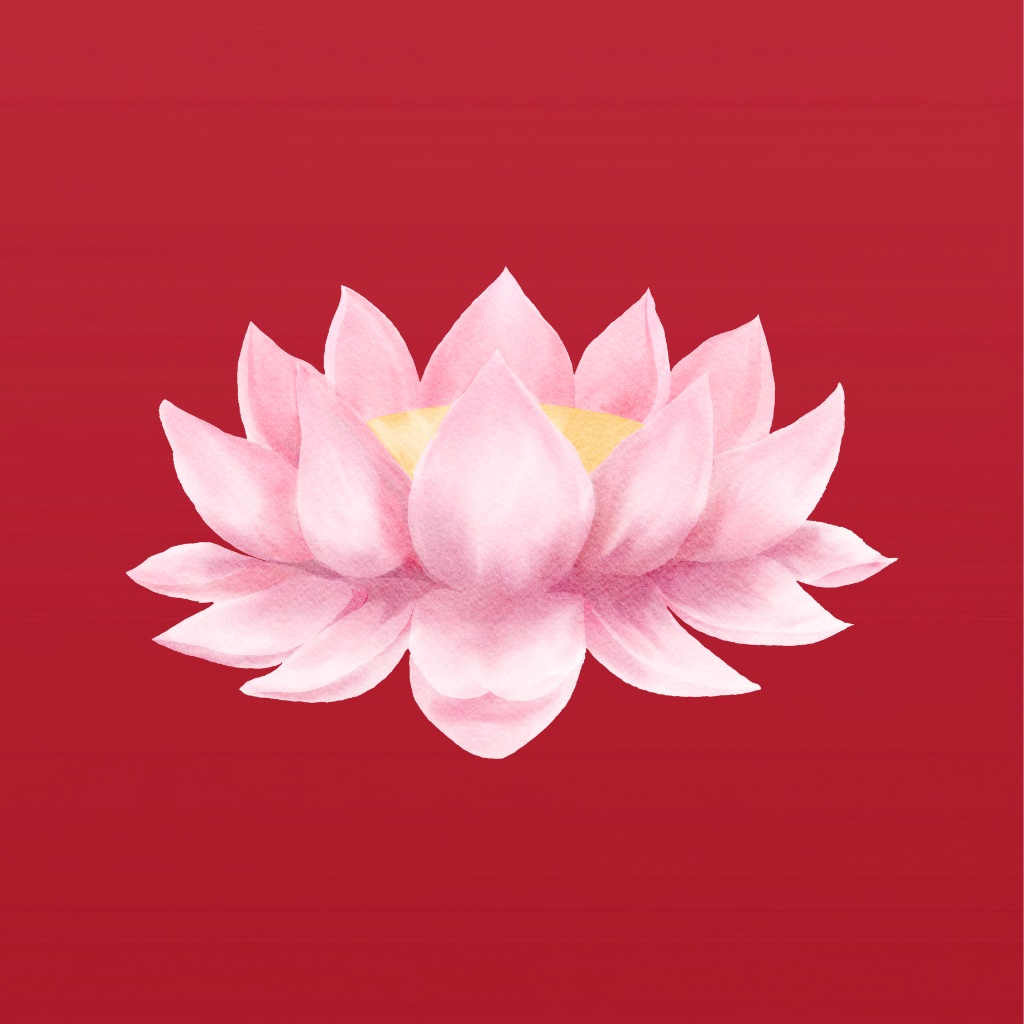 Buddhism Dharma Zen Widget icon