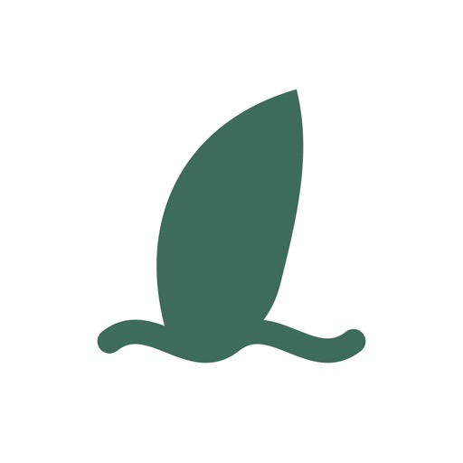 Vocabulary Sailingo icon