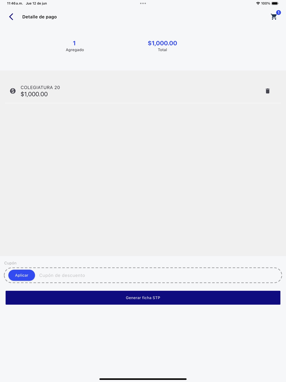 iPad screenshot