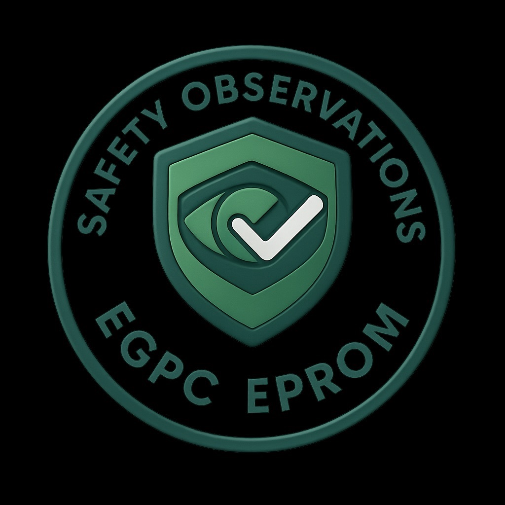 Safety Observations icon
