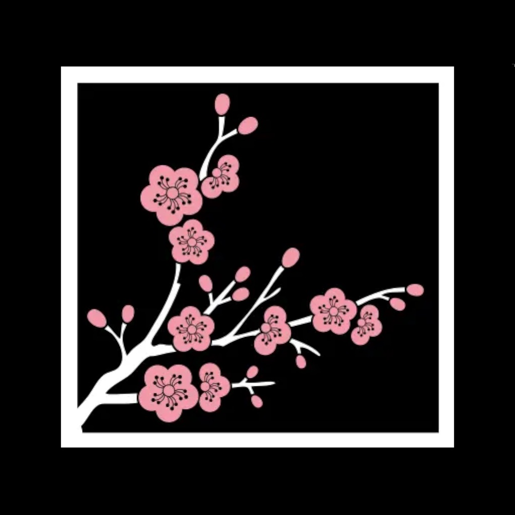 Sushi Naka Naka icon