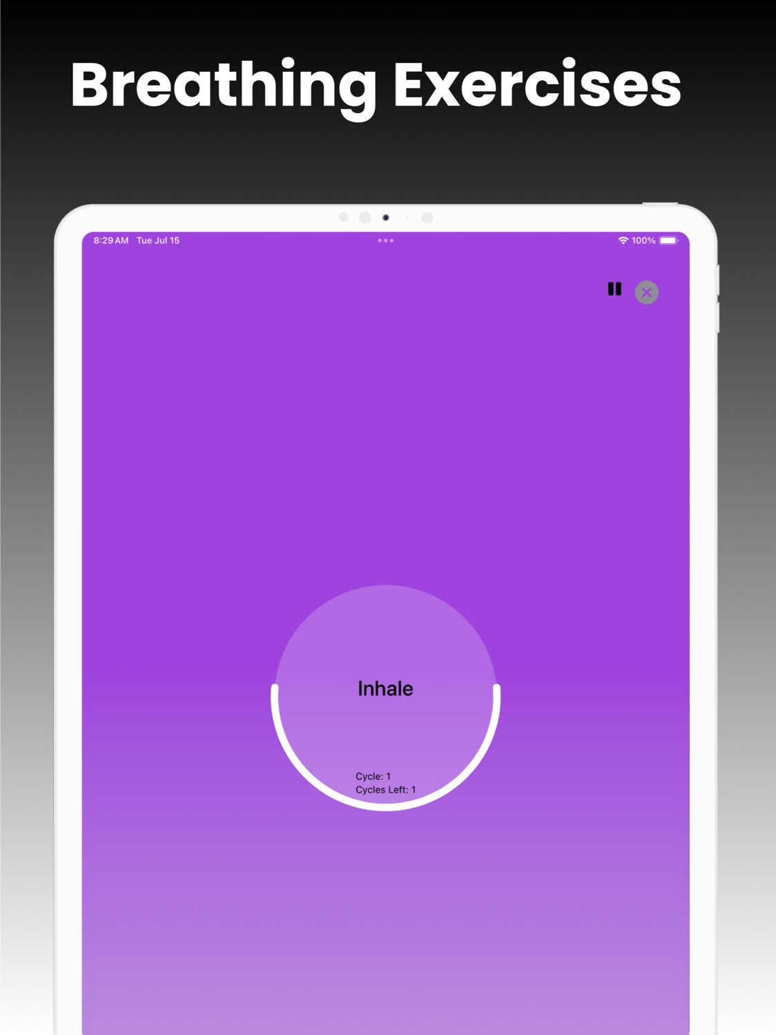 iPad screenshot