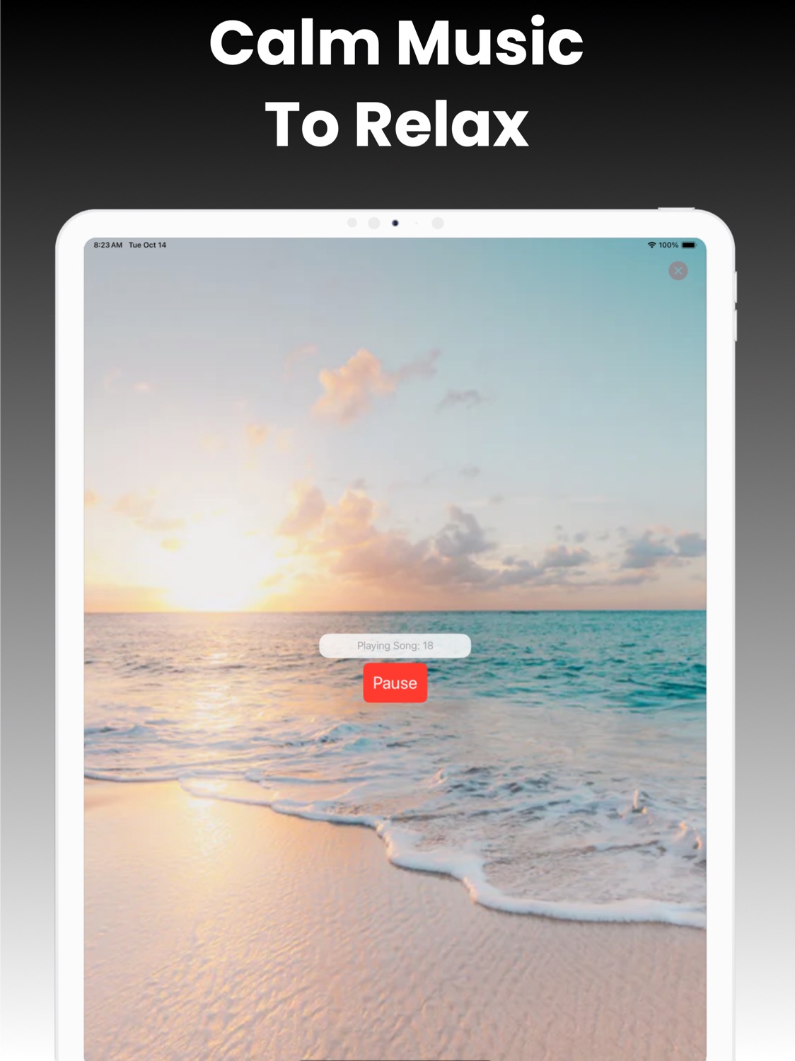 iPad screenshot