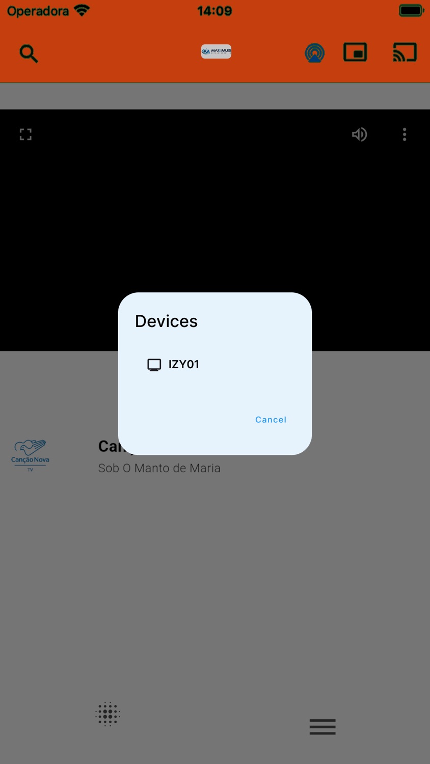 iPhone screenshot