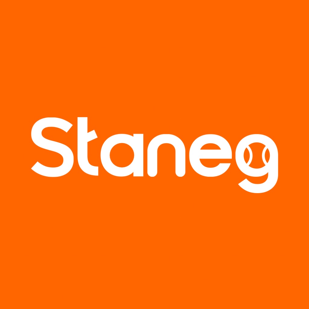 Staneg Control icon