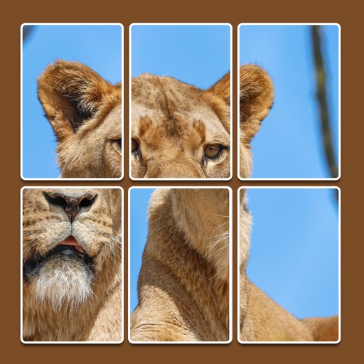 JigSort Solitaire: Jigsaw Game icon
