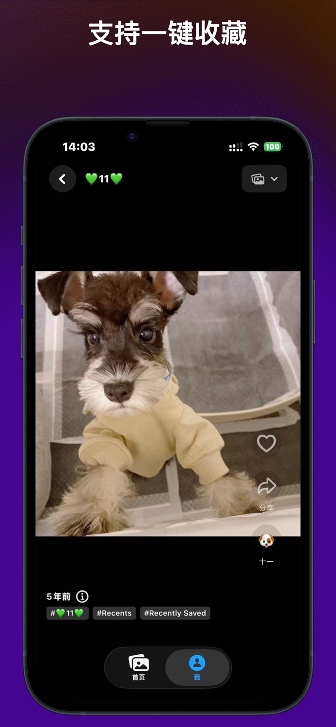iPhone screenshot