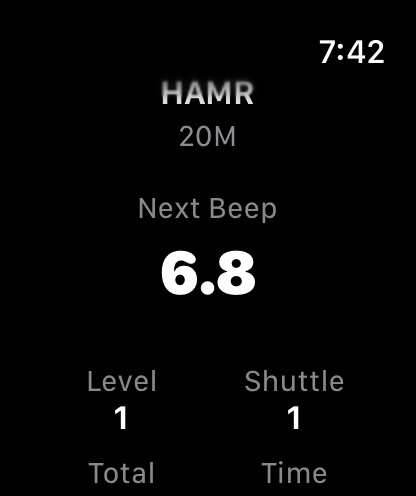 Apple Watch screenshot