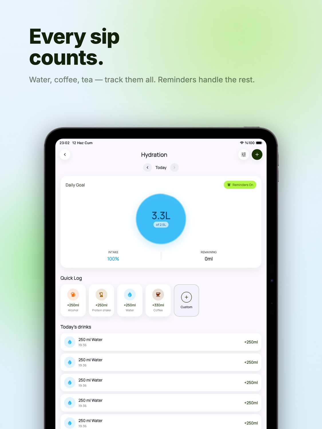 iPad screenshot