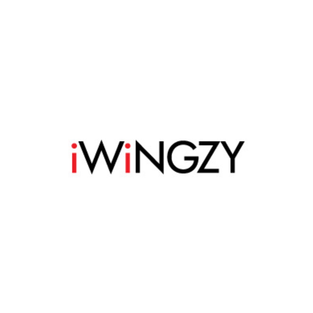 iWiNGZY . icon