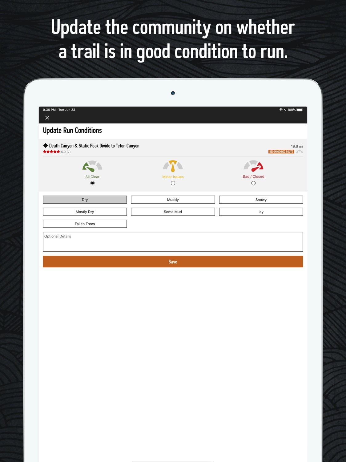 iPad screenshot
